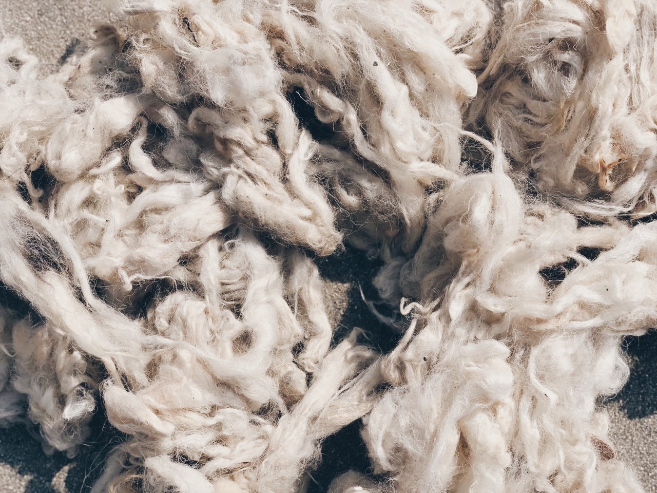 Raw wool sourcing